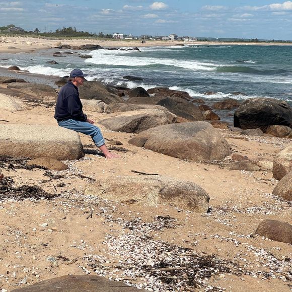 Meet your Posher, Deborah - Picture 1 of 1